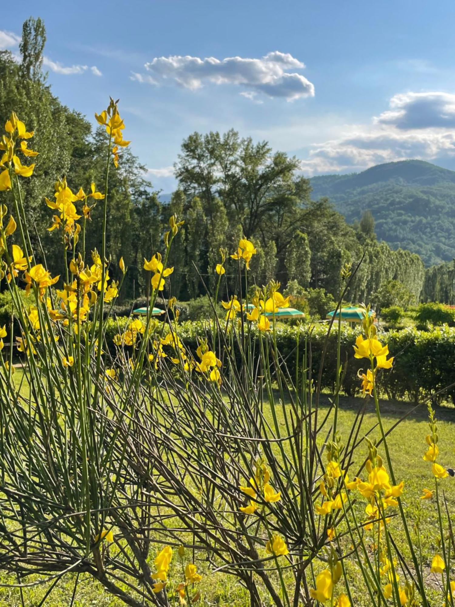 Vakantiehuis Cerqua Rosara Valtopina