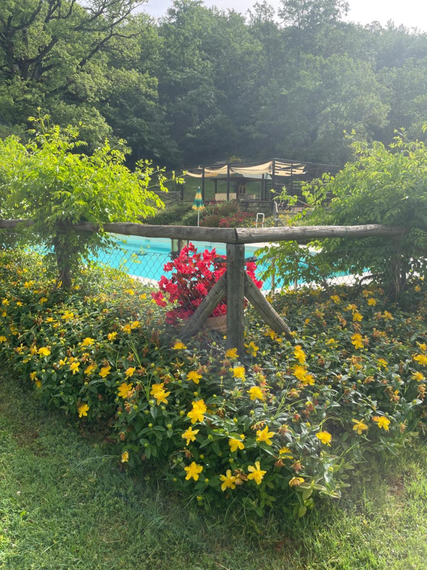 Hébergement de vacances Cerqua Rosara